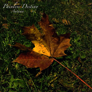 女free性zozo交体内谢o
